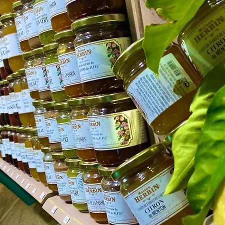 Cozy Lemon Apartment *