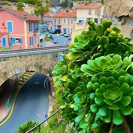 Cozy Lemon Menton